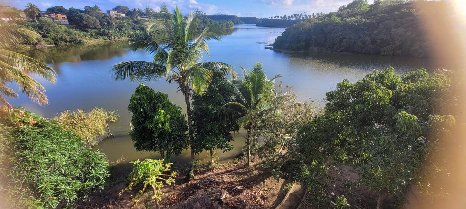 Vista panorâmica da lagoa de água doce com coqueiros e vegetação nativa